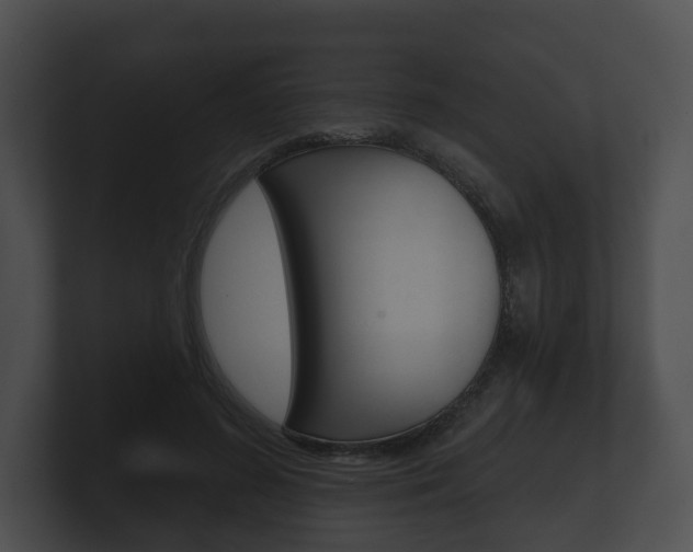 X0000100890596200806241010