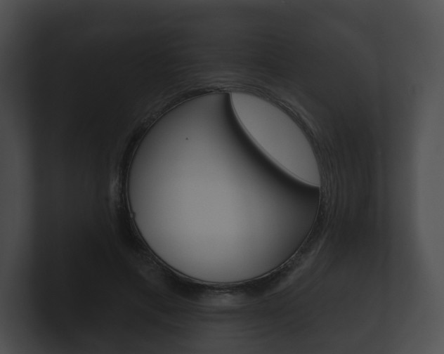 X0000100890597200806241010