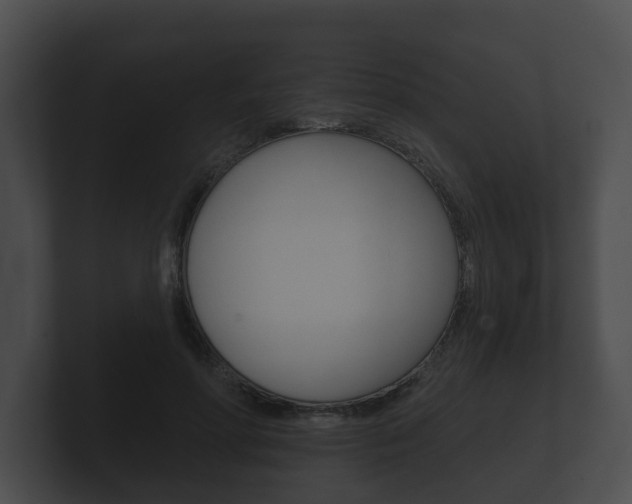 X0000100890598200806241010