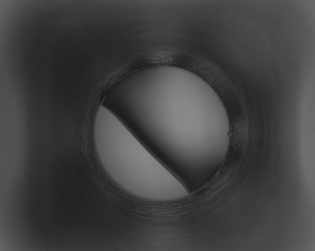 X0000100890600200806241010