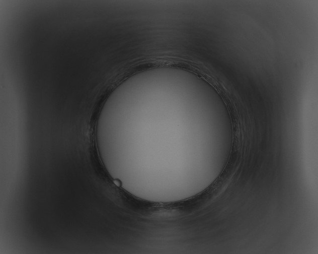 X0000100890601200806241010