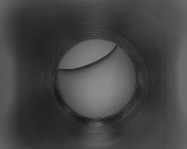 X0000100890602200806241010