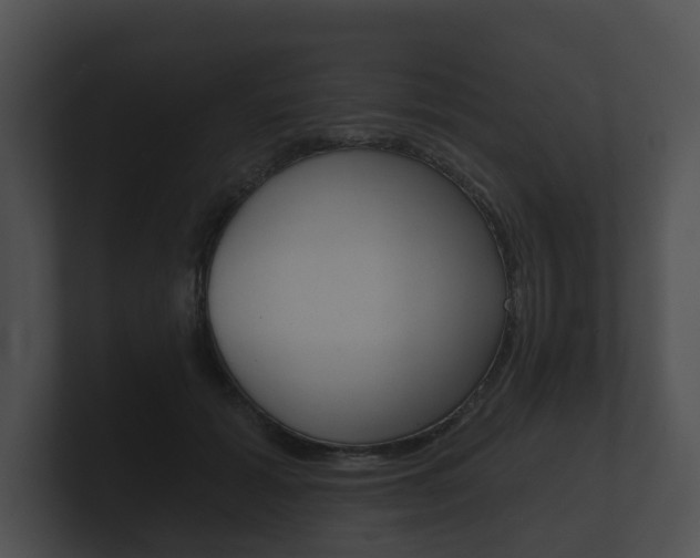 X0000100890605200806241010