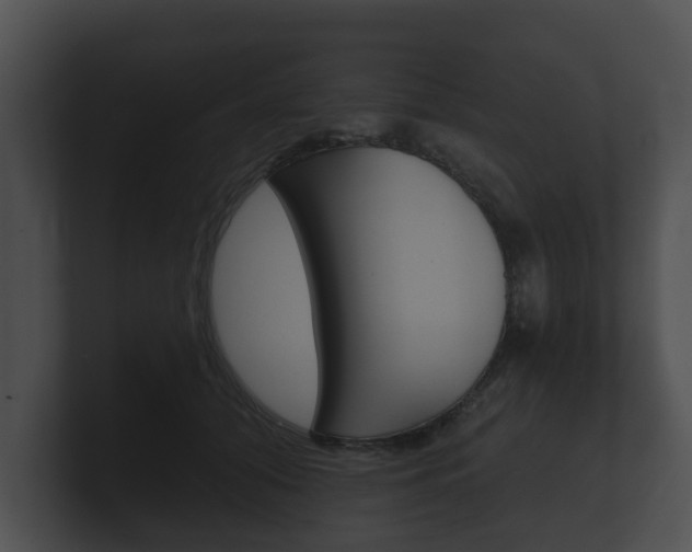 X0000100890608200806241010