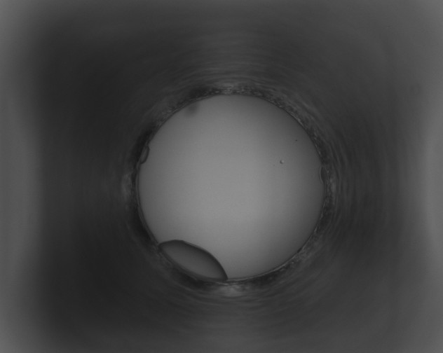 X0000100890611200806241010