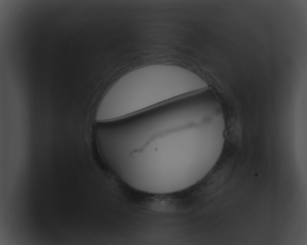 X0000100890612200806241010