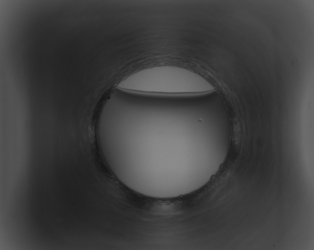 X0000100890613200806241010