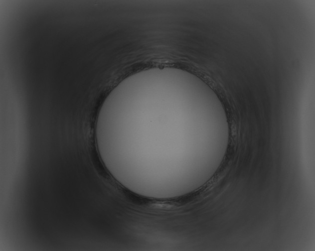 X0000100890614200806241010