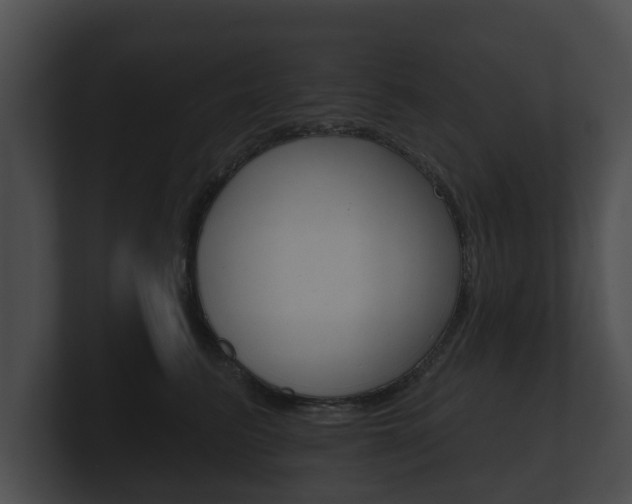 X0000100890615200806241010