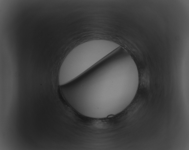 X0000100890616200806241010