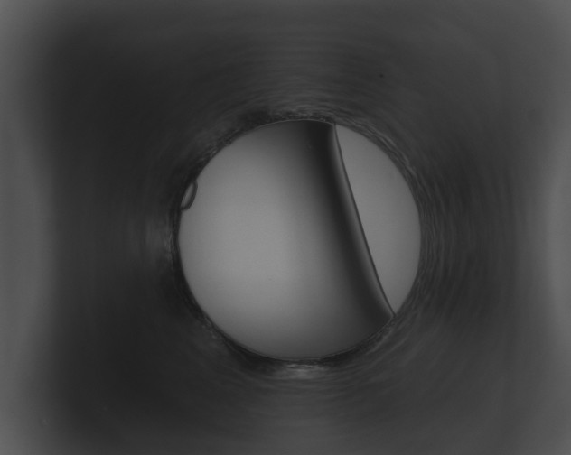 X0000100890617200806241010