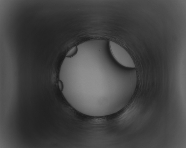 X0000100890619200806241010