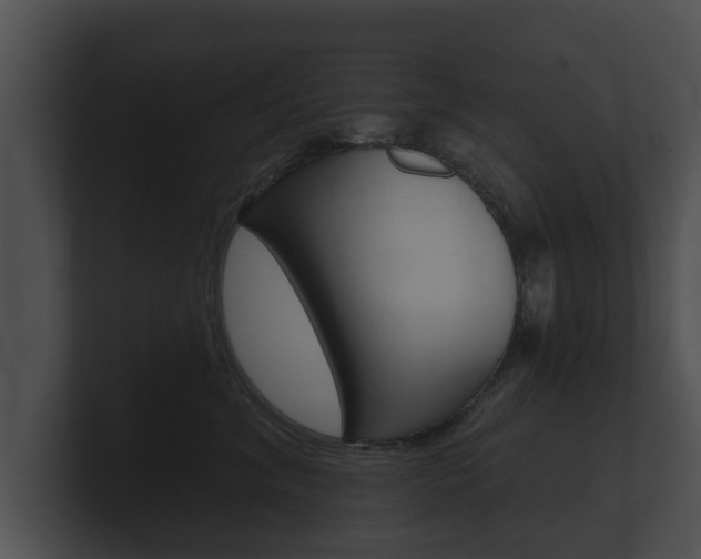 X0000100890620200806241010