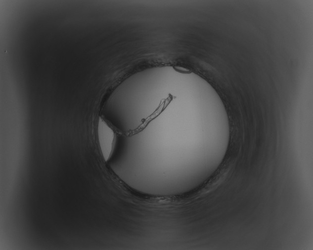 X0000100890624200806241010
