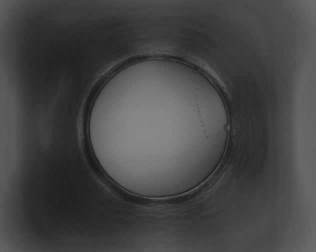 X0000100890629200806241009