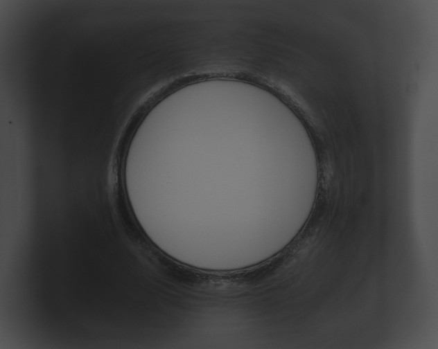 X0000100890632200806241009