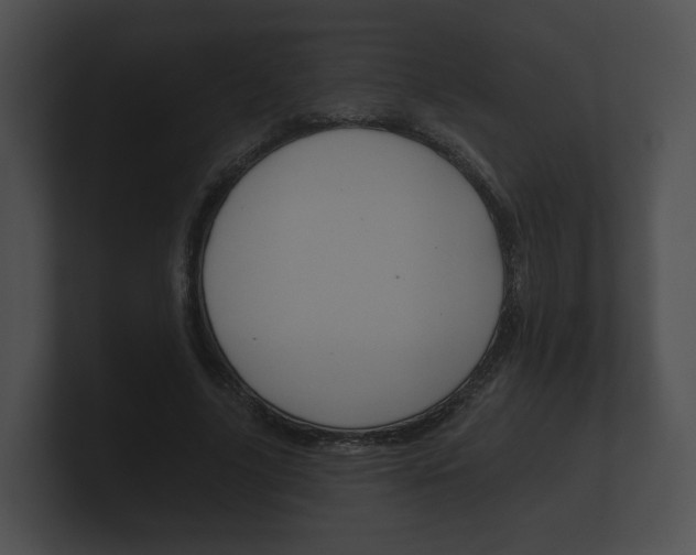X0000100890635200806241009