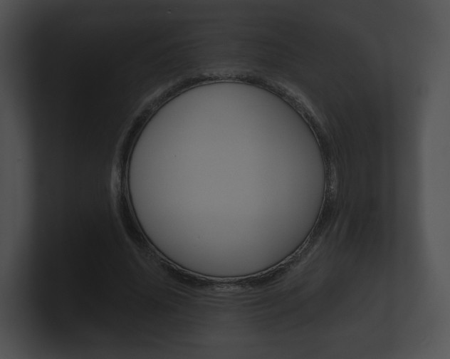 X0000100890636200806241009