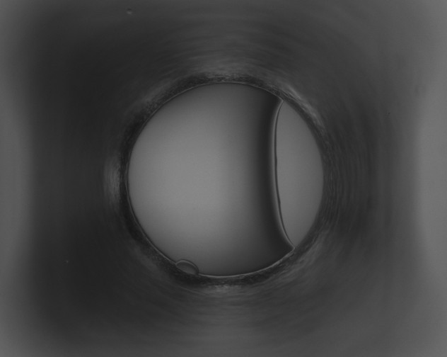 X0000100890637200806241009