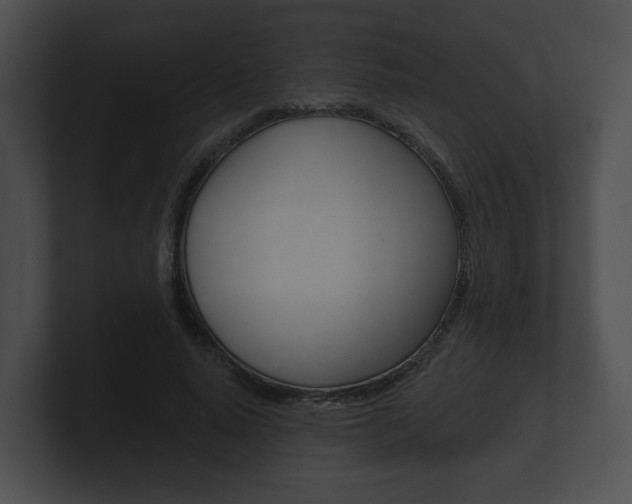 X0000100890640200806241010