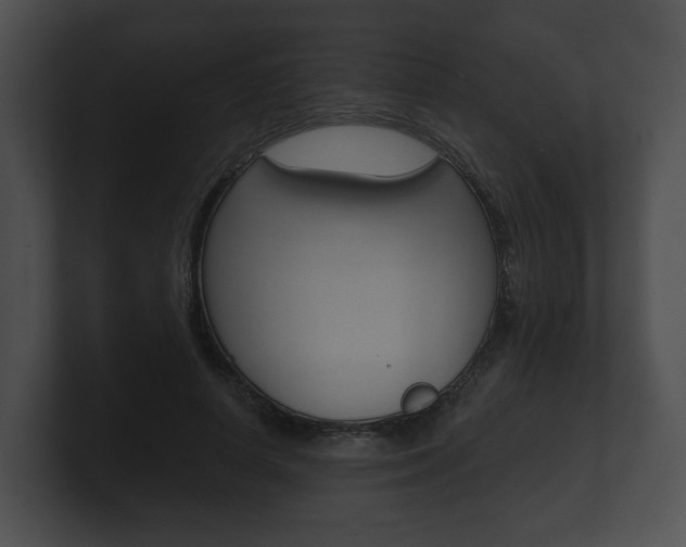 X0000100890642200806241010