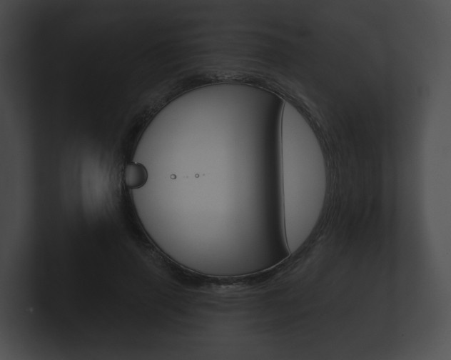 X0000100890645200806241010