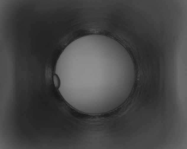 X0000100890646200806241010
