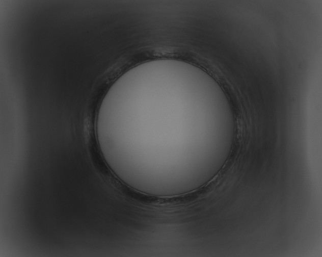 X0000100890648200806241010