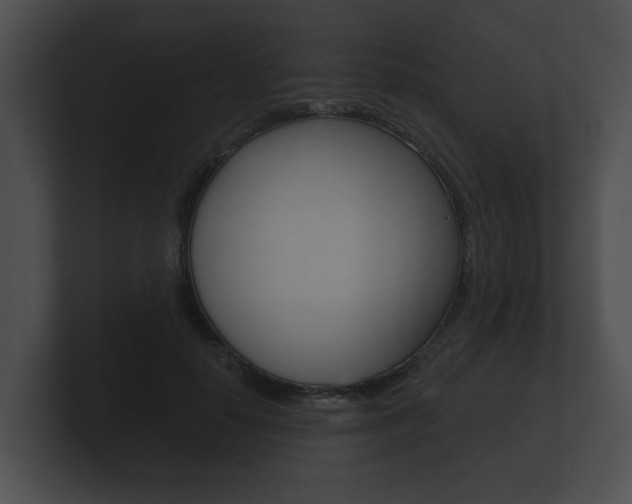 X0000100890650200806241010