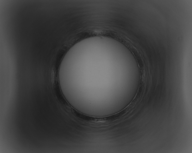 X0000100890651200806241010