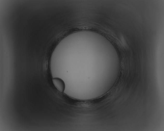 X0000100890652200806241010