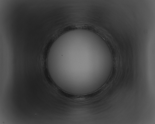 X0000100890653200806241010