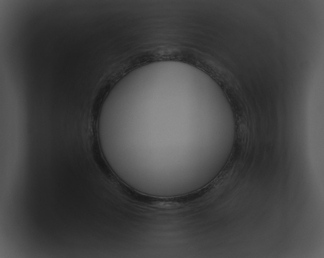 X0000100890654200806241010