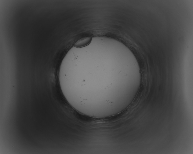 X0000100890655200806241010