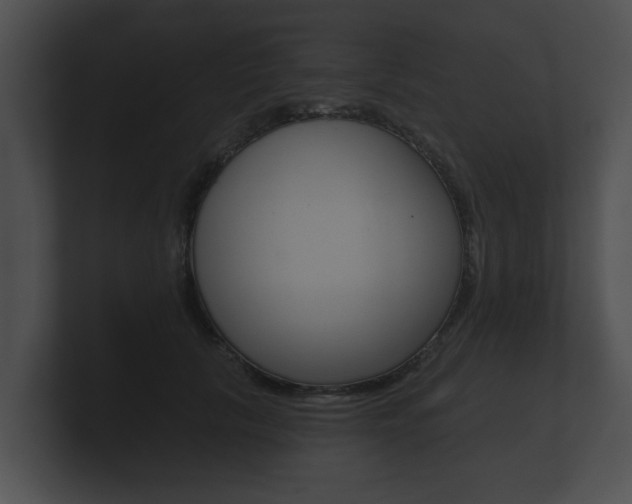 X0000100890657200806241010