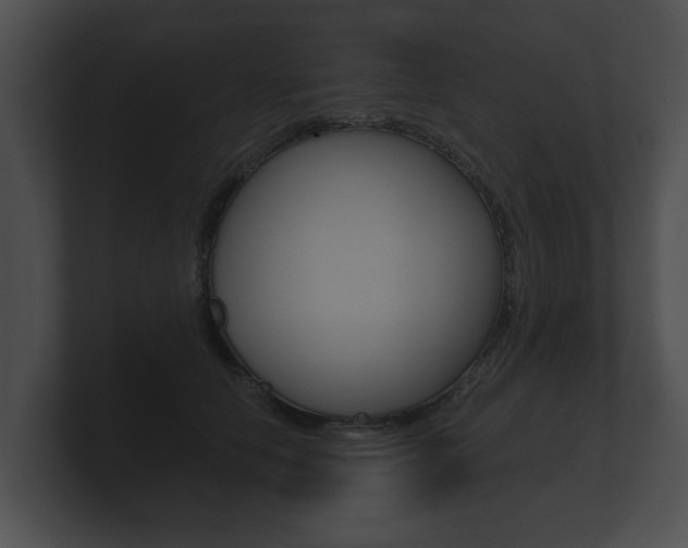 X0000100890658200806241010
