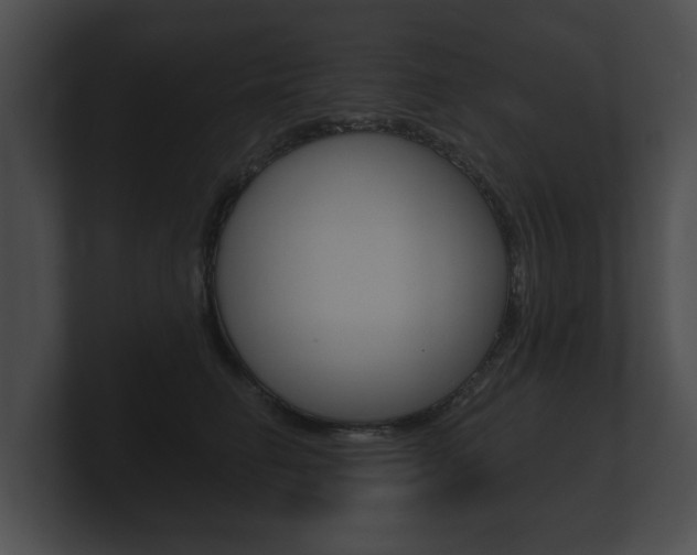X0000100890662200806241010