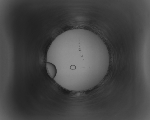 X0000100890663200806241010