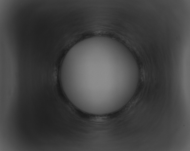 X0000100890664200806241010