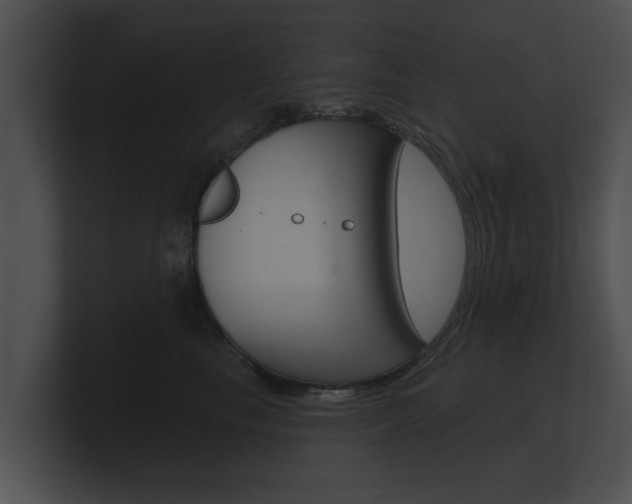 X0000100890665200806241010