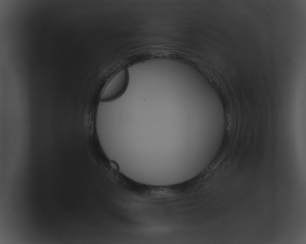 X0000100890666200806241010