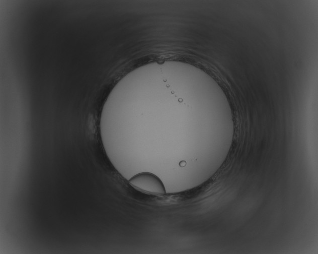 X0000100890667200806241010