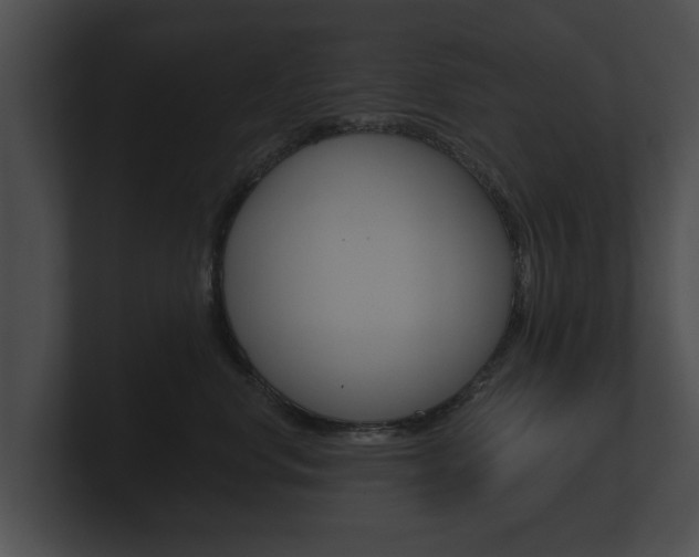 X0000100890668200806241010