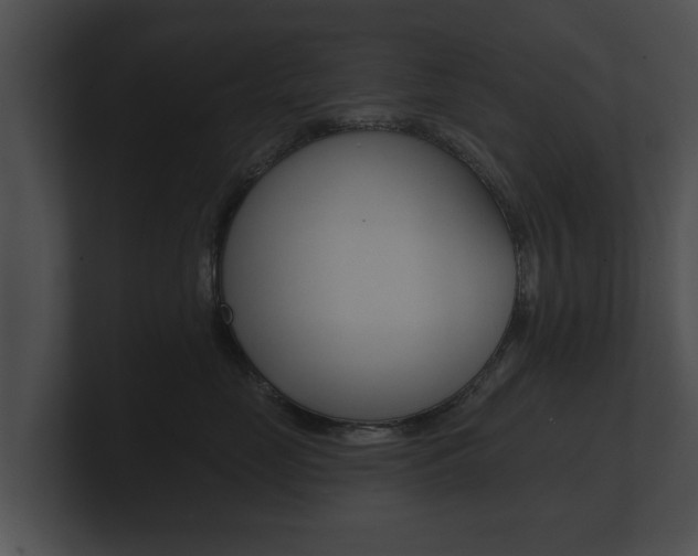 X0000100890669200806241010