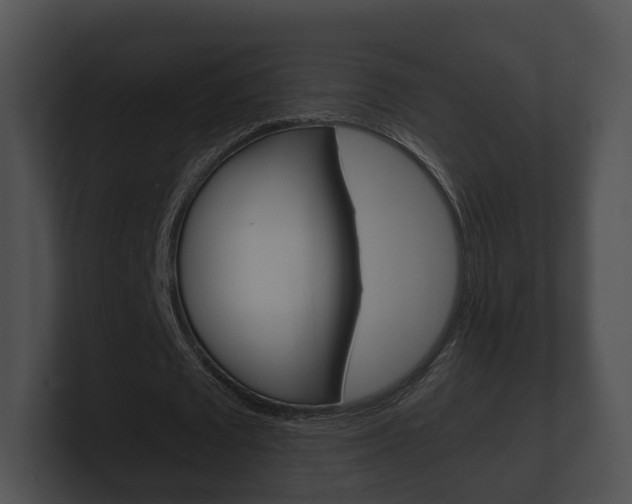 X0000100890673200806241009