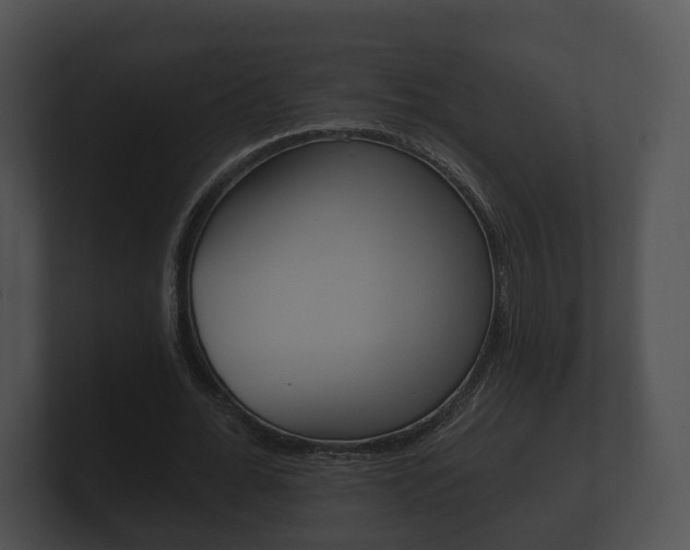 X0000100890676200806241009
