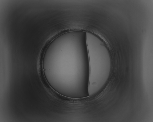 X0000100890677200806241009