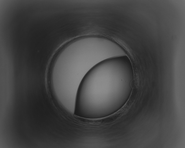 X0000100890680200806241009