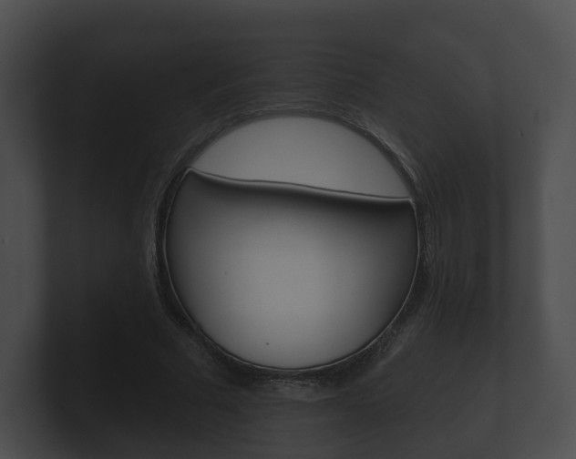 X0000100890681200806241009