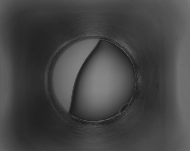 X0000100890684200806241009